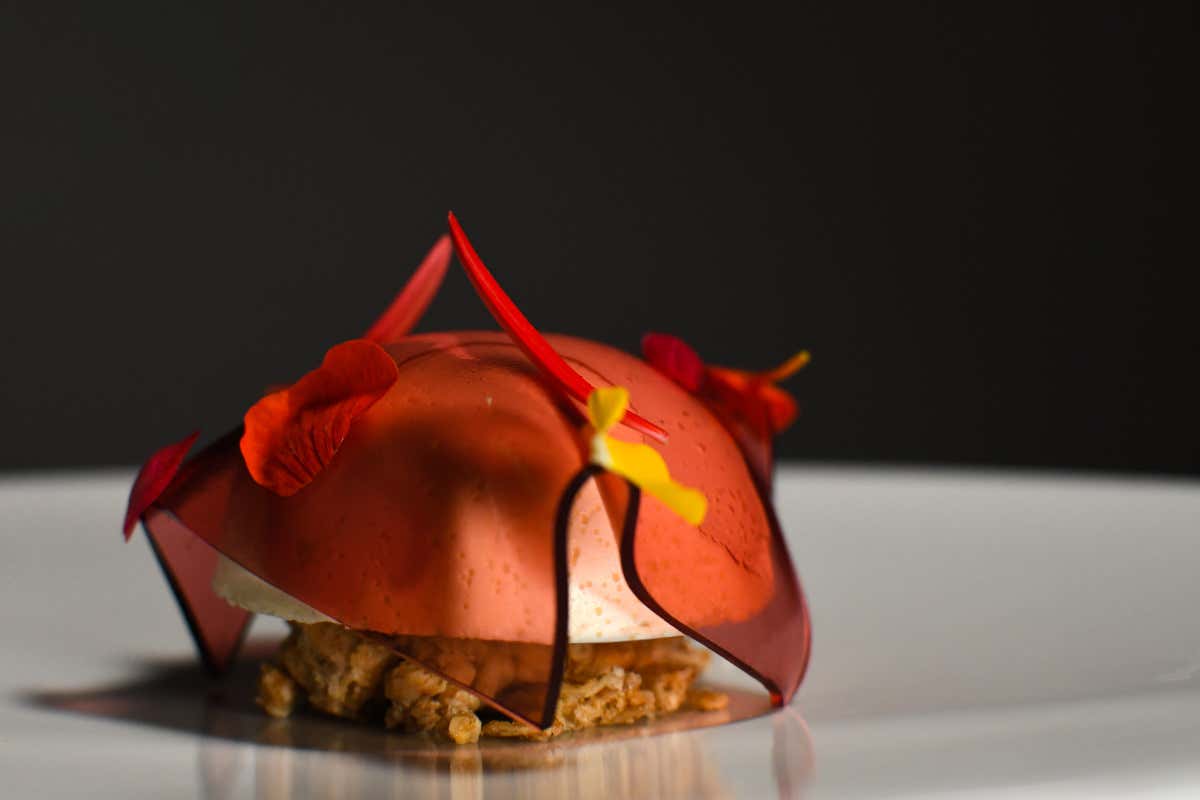 Dal cardoncello al risotto all’Acqua Fiuggi: ConTatto racconta l’inverno con il nuovo menu Dal cardoncello al risotto all’Acqua Fiuggi: ConTatto racconta l’inverno con il nuovo menu